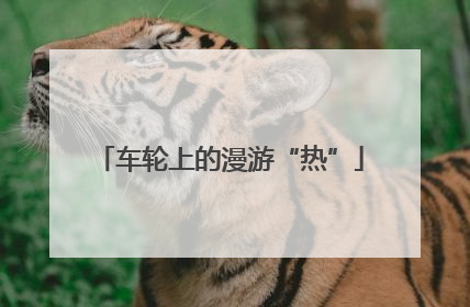 车轮上的漫游“热”