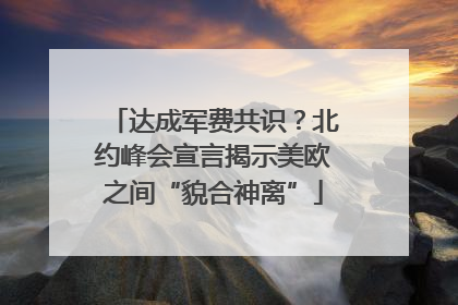达成军费共识？北约峰会宣言揭示美欧之间“貌合神离”