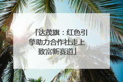 达茂旗：红色引擎助力合作社走上致富新赛道