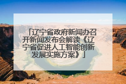 辽宁省政府新闻办召开新闻发布会解读《辽宁省促进人工智能创新发展实施方案》