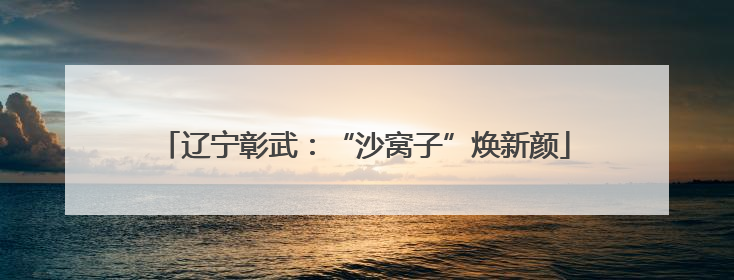 辽宁彰武：“沙窝子”焕新颜