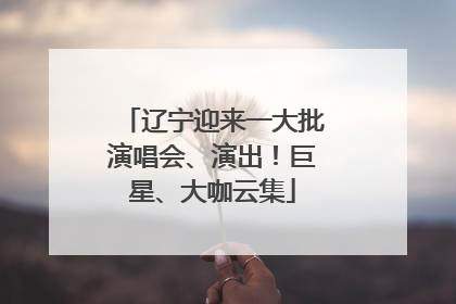 辽宁迎来一大批演唱会、演出！巨星、大咖云集