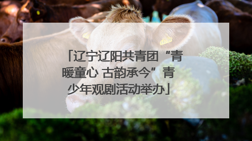 辽宁辽阳共青团“青暖童心 古韵承今”青少年观剧活动举办