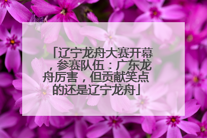 辽宁龙舟大赛开幕，参赛队伍：广东龙舟厉害，但贡献笑点的还是辽宁龙舟