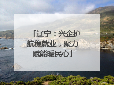 辽宁：兴企护航稳就业，聚力赋能暖民心