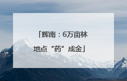 辉南：6万亩林地点“药”成金