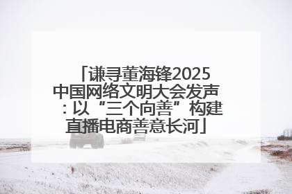 谦寻董海锋2025中国网络文明大会发声：以“三个向善”构建直播电商善意长河
