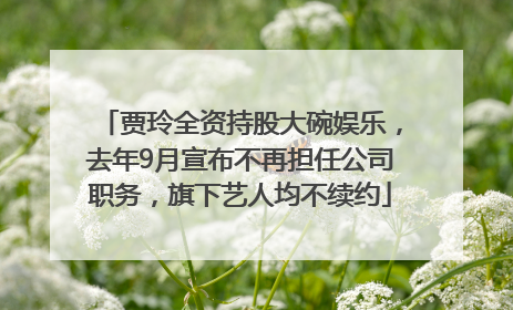 贾玲全资持股大碗娱乐，去年9月宣布不再担任公司职务，旗下艺人均不续约