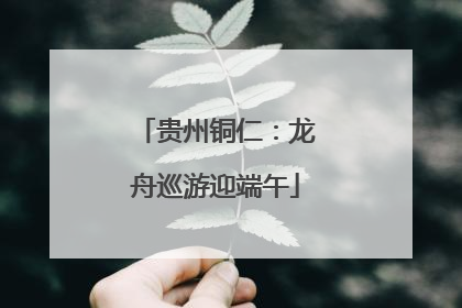 贵州铜仁：龙舟巡游迎端午
