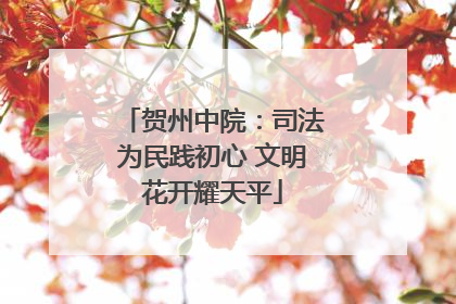 贺州中院：司法为民践初心 文明花开耀天平