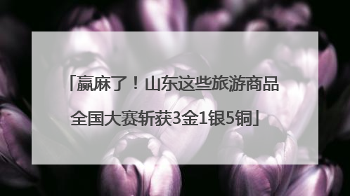 赢麻了！山东这些旅游商品全国大赛斩获3金1银5铜