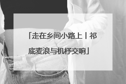 走在乡间小路上丨祁底麦浪与机杼交响