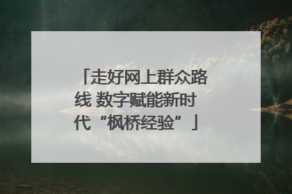 走好网上群众路线 数字赋能新时代“枫桥经验”