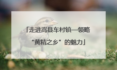 走进嵩县车村镇—领略“黄精之乡”的魅力