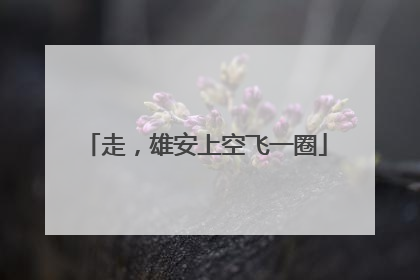 走，雄安上空飞一圈