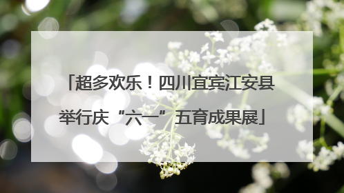 超多欢乐！四川宜宾江安县举行庆“六一”五育成果展