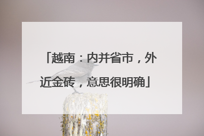 越南：内并省市，外近金砖，意思很明确