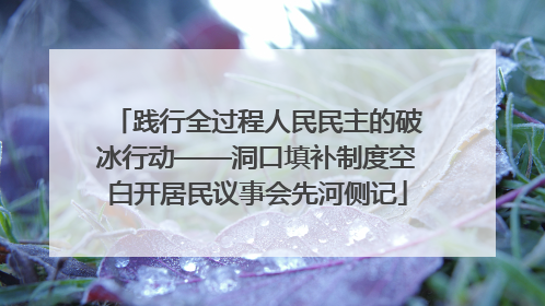 践行全过程人民民主的破冰行动——洞口填补制度空白开居民议事会先河侧记