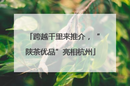 跨越千里来推介，“陕茶优品”亮相杭州
