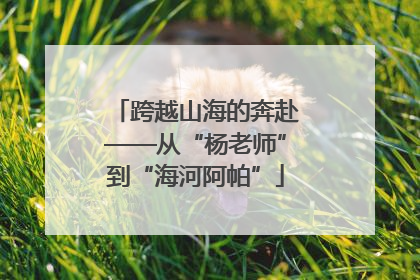 跨越山海的奔赴——从“杨老师”到“海河阿帕”