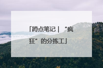 蹲点笔记｜“疯狂”的分拣工