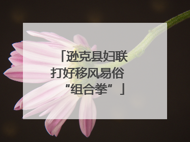 逊克县妇联打好移风易俗“组合拳”