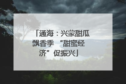 通海：兴蒙甜瓜飘香季 “甜蜜经济”促振兴