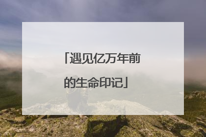 遇见亿万年前的生命印记