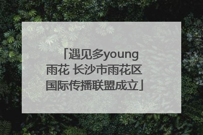 遇见多young雨花 长沙市雨花区国际传播联盟成立