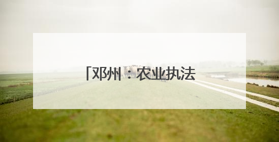 邓州：农业执法在行动 护航“三夏”保丰收