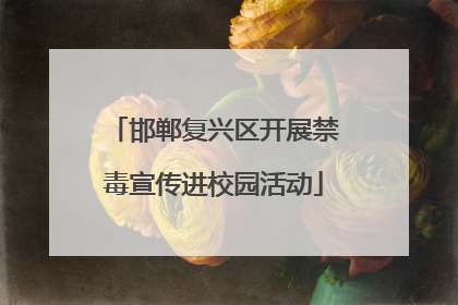 邯郸复兴区开展禁毒宣传进校园活动