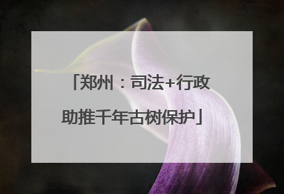 郑州：司法+行政助推千年古树保护