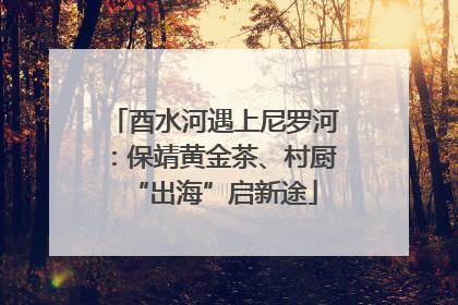 酉水河遇上尼罗河：保靖黄金茶、村厨“出海”启新途