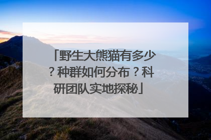 野生大熊猫有多少？种群如何分布？科研团队实地探秘