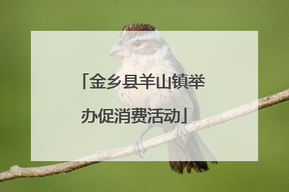 金乡县羊山镇举办促消费活动