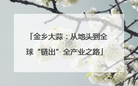 金乡大蒜：从地头到全球“链出”全产业之路