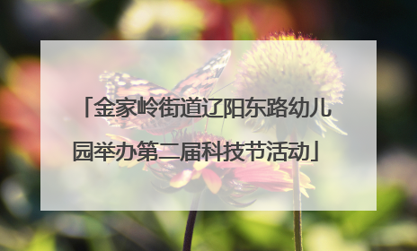 金家岭街道辽阳东路幼儿园举办第二届科技节活动