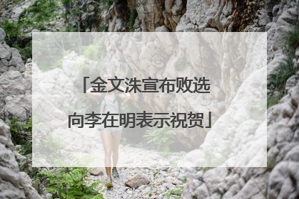 金文洙宣布败选 向李在明表示祝贺