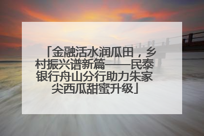 金融活水润瓜田，乡村振兴谱新篇——民泰银行舟山分行助力朱家尖西瓜甜蜜升级
