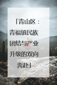 青山区：青福镇民族团结与产业升级的双向奔赴