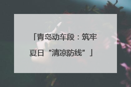 青岛动车段：筑牢夏日“清凉防线”