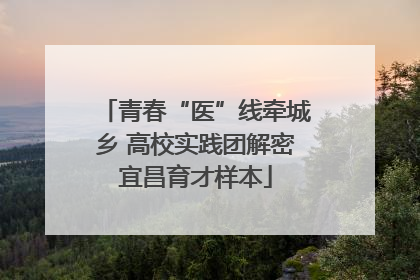 青春“医”线牵城乡 高校实践团解密宜昌育才样本
