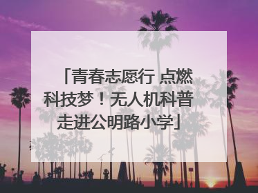 青春志愿行 点燃科技梦！无人机科普走进公明路小学