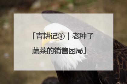 青耕记③｜老种子蔬菜的销售困局