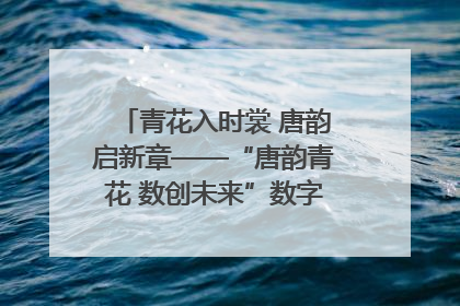 青花入时裳 唐韵启新章——“唐韵青花 数创未来”数字文创设计大赛启幕