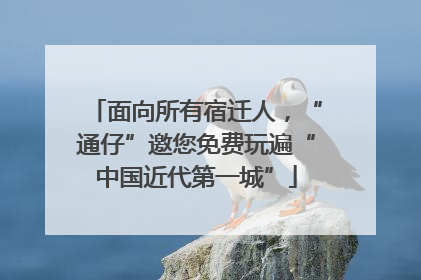 面向所有宿迁人，“通仔”邀您免费玩遍“中国近代第一城”