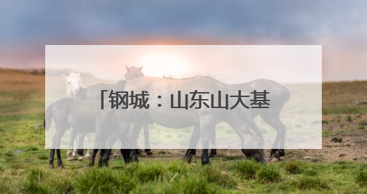 钢城：山东山大基础教育集团来了！