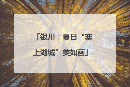 银川：夏日“塞上湖城”美如画