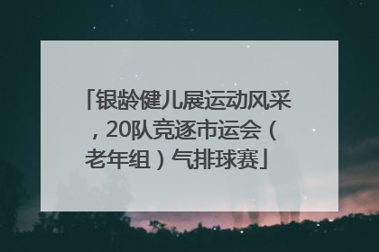银龄健儿展运动风采，20队竞逐市运会（老年组）气排球赛