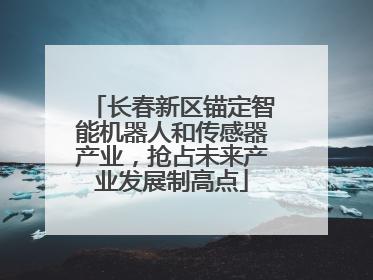 长春新区锚定智能机器人和传感器产业，抢占未来产业发展制高点